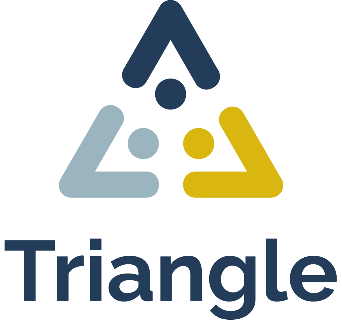 Logo Triangle Vertical